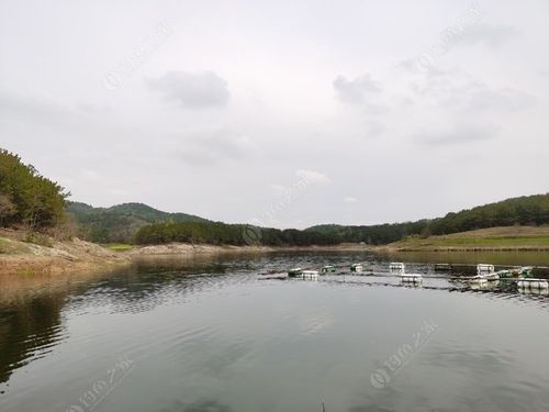 衡阳野钓大板鲫鱼的好地方?衡山九观桥钓鱼收费吗-图1 衡阳野钓大板鲫鱼的好地方?衡山九观桥钓鱼收费吗-图1