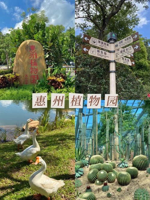 松山湖植物园门票?南城植物园收费吗-图3 松山湖植物园门票?南城植物园收费吗-图3