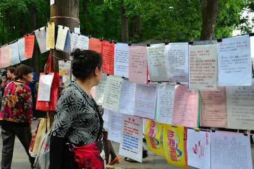 哈尔滨相亲靠谱的地方？兆麟公园收费吗