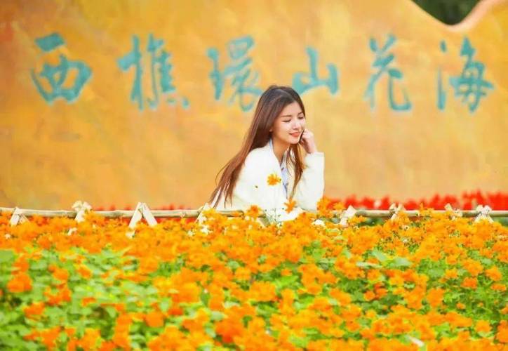西樵山哪个入口好?西樵花海收费吗-图2 西樵山哪个入口好?西樵花海收费吗-图2