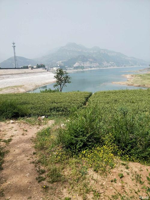 新乡65岁以上免票景点?卫辉塔岗水库收费吗-图3 新乡65岁以上免票景点?卫辉塔岗水库收费吗-图3