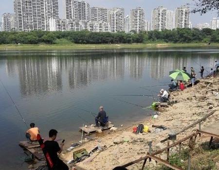 这么热滴天,深圳哪里有凉快又好玩的地方?香蜜湖钓鱼场怎么收费-图3 这么热滴天,深圳哪里有凉快又好玩的地方?香蜜湖钓鱼场怎么收费-图3