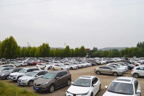 停车是否免费?今天龙门石窟收费吗-图3 停车是否免费?今天龙门石窟收费吗-图3