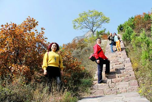 新乡38妇女节哪些景区免门票?辉县不收费景区-图2 新乡38妇女节哪些景区免门票?辉县不收费景区-图2