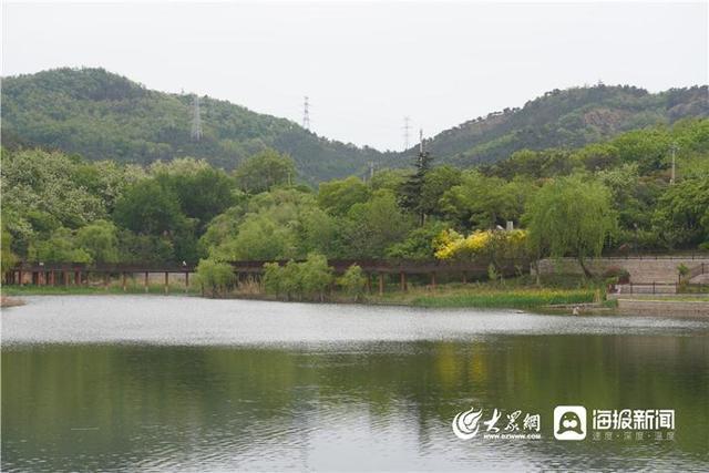 青岛城阳丹山海拔高度?丹山水库 收费吗-图3 青岛城阳丹山海拔高度?丹山水库 收费吗-图3