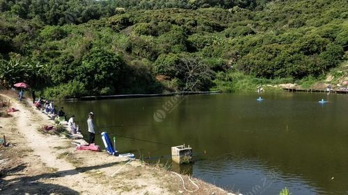 深圳布吉野钓地点推荐？最新深圳收费钓鱼场所