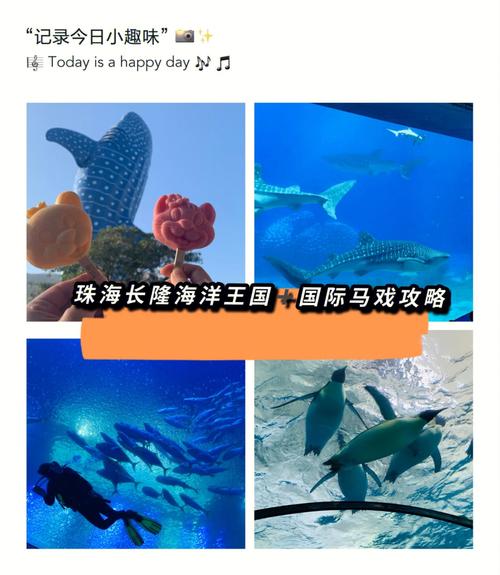 珠海长隆海洋王国怎么停车便宜?长隆野生动物园停车场收费-图3 珠海长隆海洋王国怎么停车便宜?长隆野生动物园停车场收费-图3