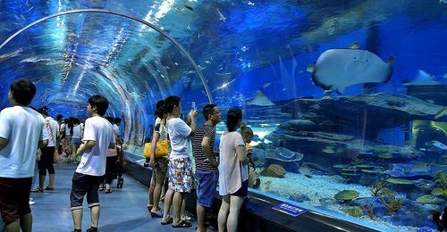 徐州海洋馆有多大？徐州水族馆收费标准