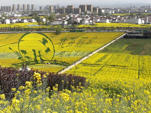 汉中市洋县出租车价位?汉中的士怎么收费-图3 汉中市洋县出租车价位?汉中的士怎么收费-图3