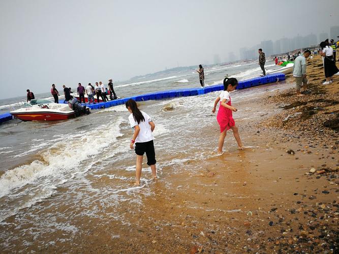 东戴河8月份赶海时间和最佳赶海时间?东戴河海滩收费吗-图1 东戴河8月份赶海时间和最佳赶海时间?东戴河海滩收费吗-图1