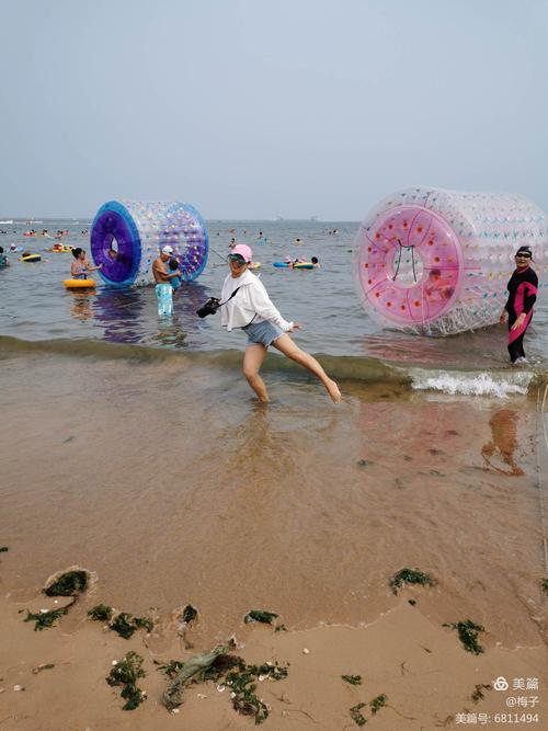东戴河8月份赶海时间和最佳赶海时间?东戴河海滩收费吗-图2 东戴河8月份赶海时间和最佳赶海时间?东戴河海滩收费吗-图2