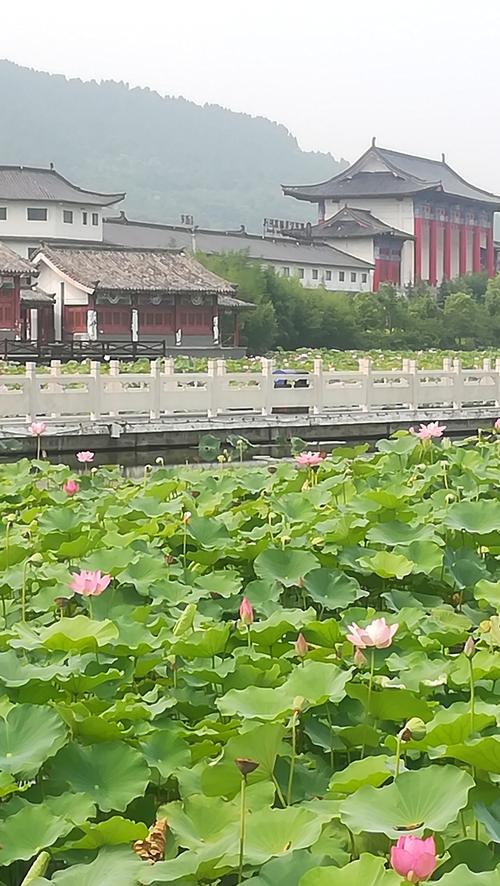 灵山莲花公园离哪里近？宜阳灵山莲花公园收费吗