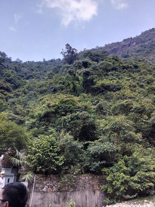 粤西十大高山排名?莲花山度假村仙人洞需要收费吗-图3 粤西十大高山排名?莲花山度假村仙人洞需要收费吗-图3