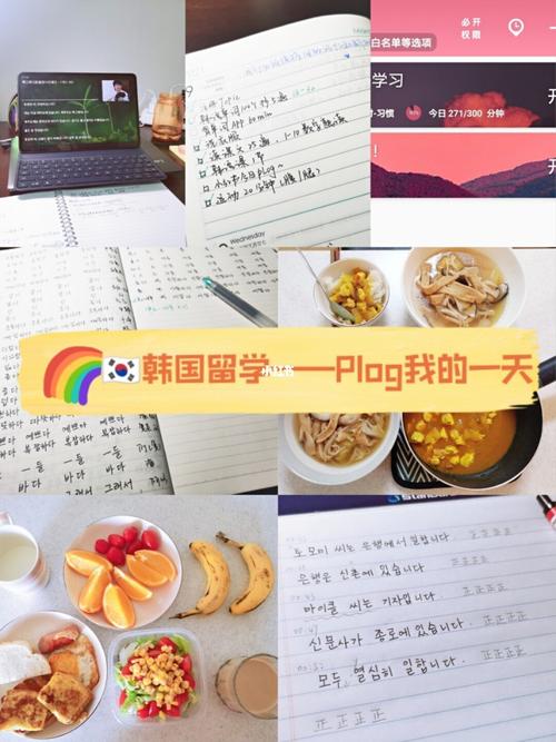 韩国留学一年的费用大概多少,说详细一点,谢谢了?韩国酒店儿童早餐收费-图3 韩国留学一年的费用大概多少,说详细一点,谢谢了?韩国酒店儿童早餐收费-图3
