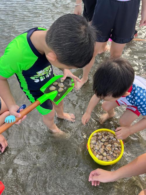 无锡周边沙滩赶海最佳地点?无锡能钓鱼收费低的地方-图3 无锡周边沙滩赶海最佳地点?无锡能钓鱼收费低的地方-图3