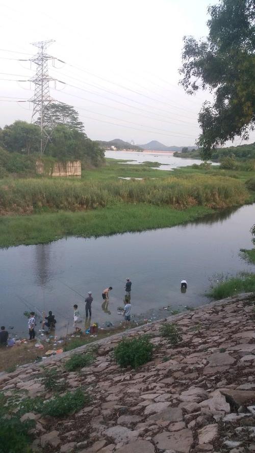 深圳东湖公园钓鱼攻略？深圳人民公园钓鱼怎么收费
