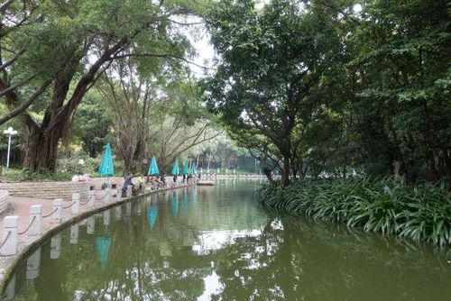 深圳东湖公园钓鱼攻略？深圳人民公园钓鱼怎么收费-图2