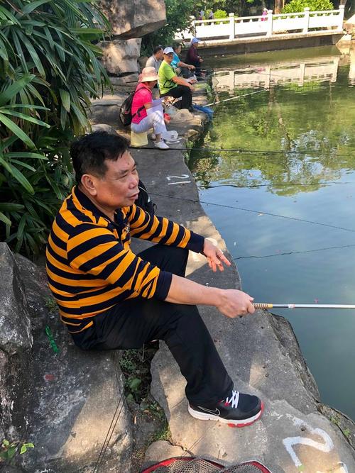 深圳东湖公园钓鱼攻略？深圳人民公园钓鱼怎么收费-图3