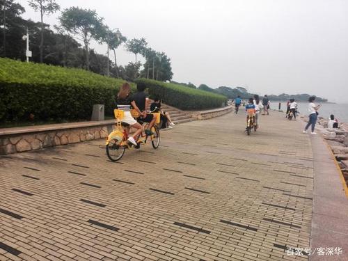 深圳红树林晚上有的租单车吗？深圳红树林收费么