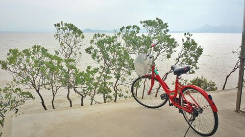 深圳红树林晚上有的租单车吗?深圳红树林收费么-图2 深圳红树林晚上有的租单车吗?深圳红树林收费么-图2