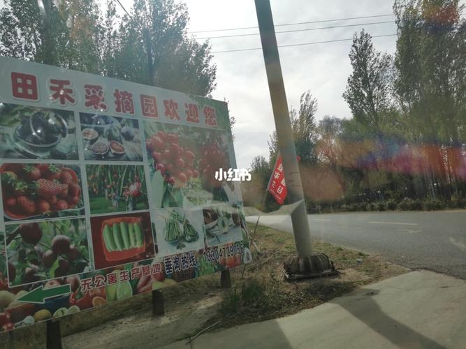 去采摘园怎么收费按多少斤还是按人数?采摘园怎么收费合理-图2 去采摘园怎么收费按多少斤还是按人数?采摘园怎么收费合理-图2