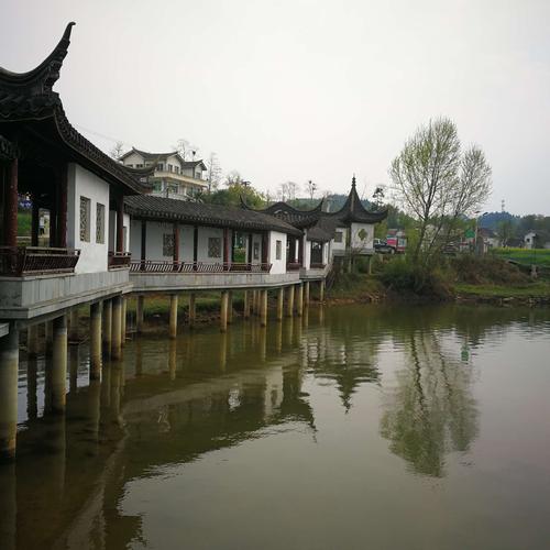 古镇湿地公园停车收费吗？古镇该不该收费