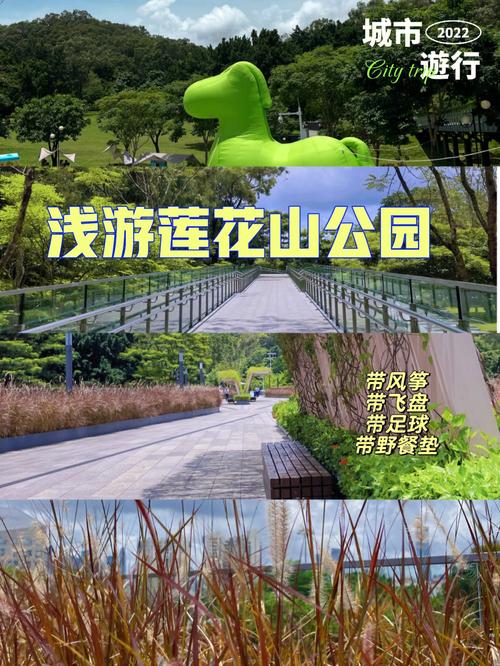长春莲花山公园门票多少一张？深圳莲花山公园收费