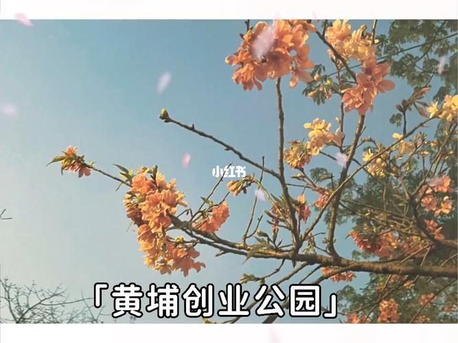 广州黄埔创业公园门票?黄埔公园收费吗-图3 广州黄埔创业公园门票?黄埔公园收费吗-图3