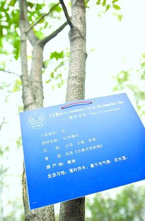 贵阳药用植物园需要身份证吗？贵州省植物园收费