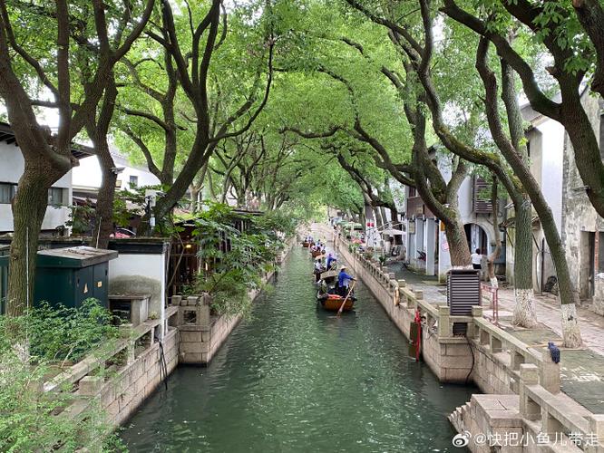 去拙政园平江路车停哪里?苏州吴门人家总店吃饭停车收费吗-图2 去拙政园平江路车停哪里?苏州吴门人家总店吃饭停车收费吗-图2