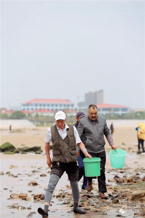 万宝赶海园和多岛海赶海园哪个好?日照万宝 收费-图2 万宝赶海园和多岛海赶海园哪个好?日照万宝 收费-图2
