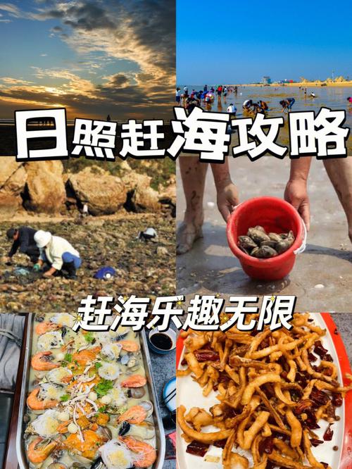 万宝赶海园和多岛海赶海园哪个好?日照万宝 收费-图1 万宝赶海园和多岛海赶海园哪个好?日照万宝 收费-图1