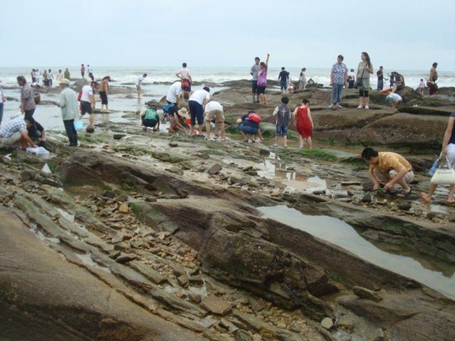 万宝赶海园和多岛海赶海园哪个好?日照万宝 收费-图3 万宝赶海园和多岛海赶海园哪个好?日照万宝 收费-图3