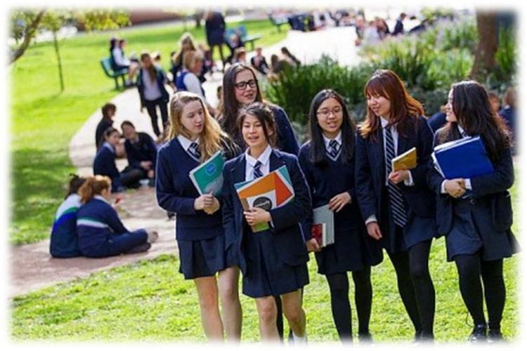 澳大利亚小学几岁入学?澳洲儿科收费-图3 澳大利亚小学几岁入学?澳洲儿科收费-图3