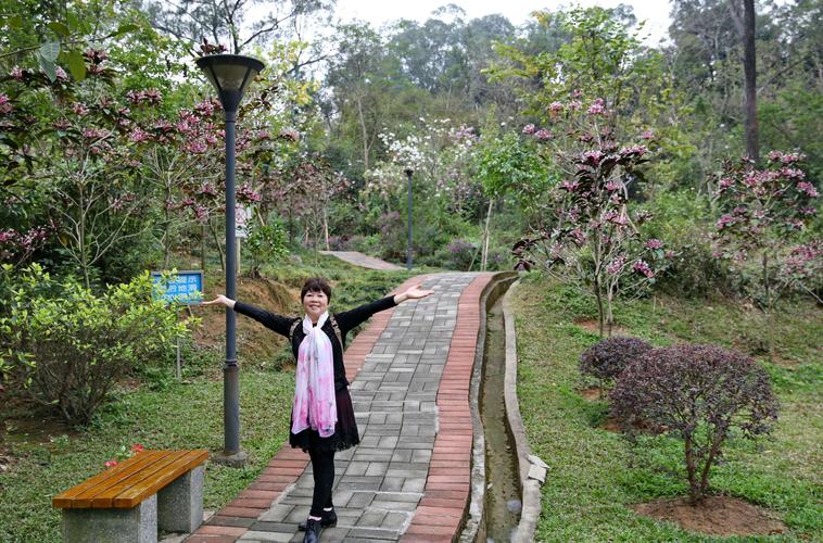 南海外国语学校是哪个教育集团的?三山效野公园收费吗-图3 南海外国语学校是哪个教育集团的?三山效野公园收费吗-图3