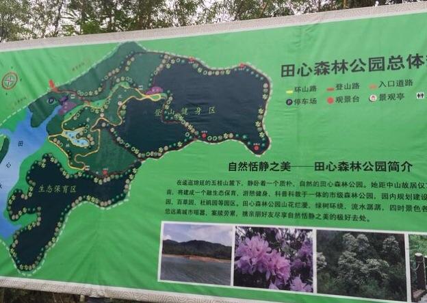 脚尖滑过的地方描写的是?满田森林公园收费吗-图1 脚尖滑过的地方描写的是?满田森林公园收费吗-图1