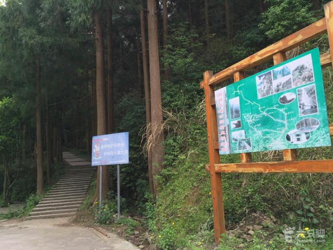 脚尖滑过的地方描写的是?满田森林公园收费吗-图2 脚尖滑过的地方描写的是?满田森林公园收费吗-图2