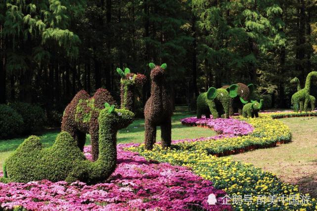 云南10月最好玩的地方?曲靖珍稀植物园收费吗-图3 云南10月最好玩的地方?曲靖珍稀植物园收费吗-图3