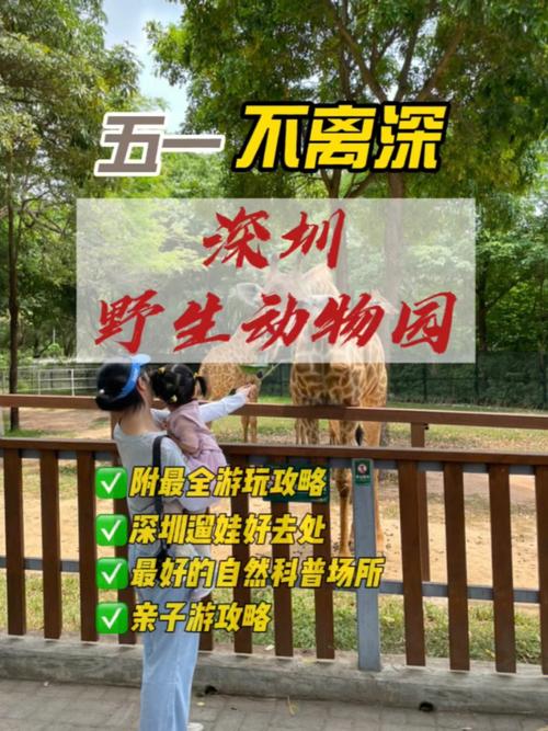 深圳野生动物园可以寄存行李吗?深圳机场行李寄存收费-图2 深圳野生动物园可以寄存行李吗?深圳机场行李寄存收费-图2