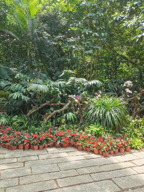 万石植物园雨林开放时间?万石植物园何时取消收费-图2 万石植物园雨林开放时间?万石植物园何时取消收费-图2