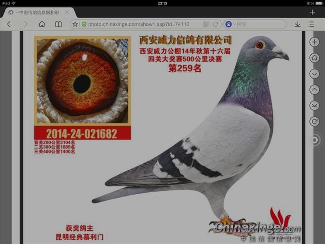 2021年西安威力公棚参赛费多少?西安城市运动公园 收费-图2 2021年西安威力公棚参赛费多少?西安城市运动公园 收费-图2