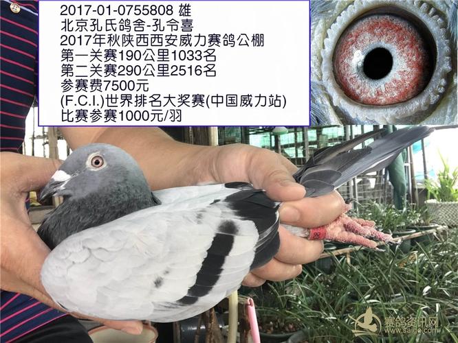 2021年西安威力公棚参赛费多少?西安城市运动公园 收费-图3 2021年西安威力公棚参赛费多少?西安城市运动公园 收费-图3