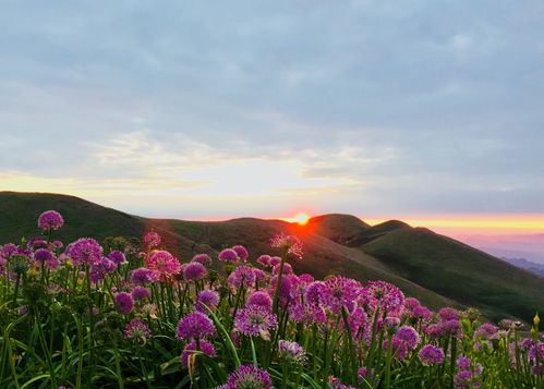 韭菜坪附近还有什么景区?韭菜坪景区收费吗-图2 韭菜坪附近还有什么景区?韭菜坪景区收费吗-图2
