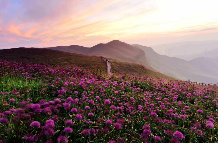 韭菜坪附近还有什么景区？韭菜坪景区收费吗
