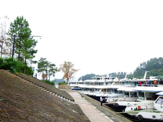 千岛湖中心码头需要停车费吗?千岛湖路边收费50-图2 千岛湖中心码头需要停车费吗?千岛湖路边收费50-图2