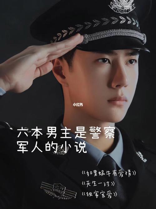 哪位好心人能推荐几本男主是军人或警察的言情小说？美国边疆航空行李如何打包收费