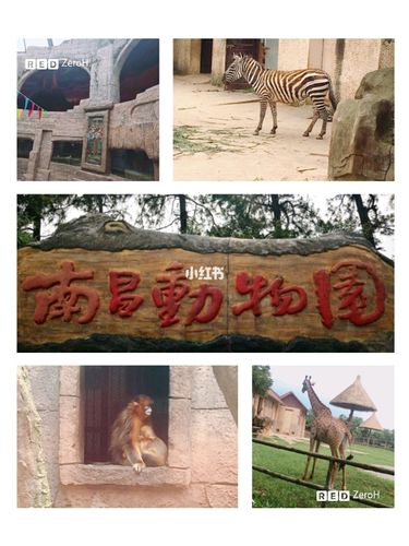 南昌动物园免费时间?南昌动物园小朋友是否收费-图2 南昌动物园免费时间?南昌动物园小朋友是否收费-图2