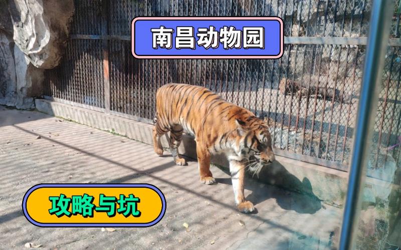 南昌动物园免费时间？南昌动物园小朋友是否收费