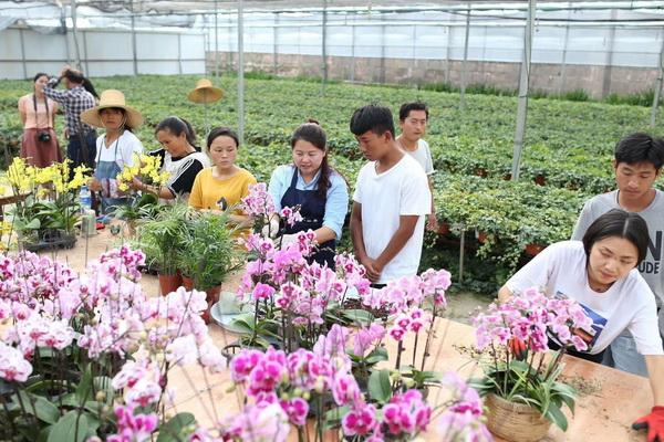 云南振东花卉有限公司还招人吗？云南弥勒北收费站招聘-图2