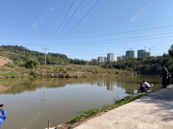 重庆主城哪里有野河可以钓鱼?重庆按天收费的钓场-图3 重庆主城哪里有野河可以钓鱼?重庆按天收费的钓场-图3